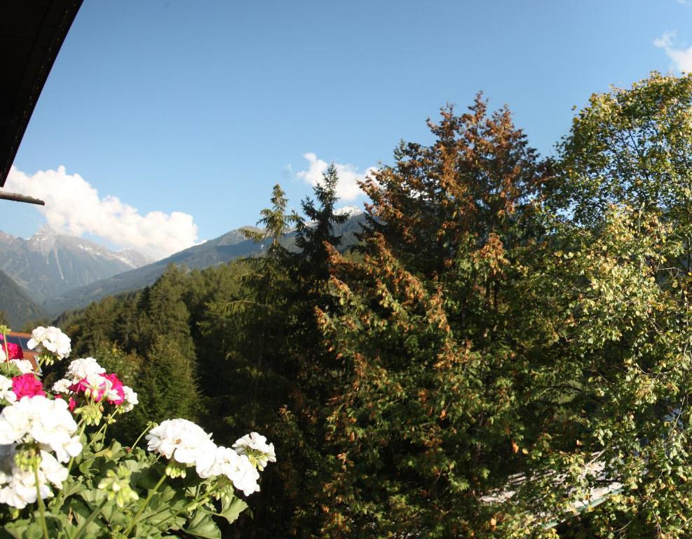 Apart Tuxertal Finkenberg Oda fotoğraf